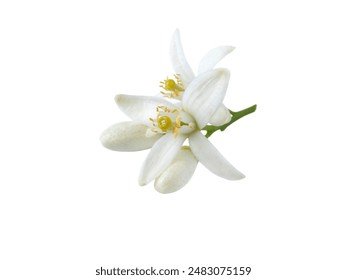 唐诗宋词导航官网