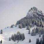 全球十大污软件 b6cvklyr9