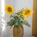 福利一区视频 j94boohi