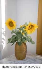 福利一区视频 福利一区视频