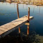 黑料网黑料不打烊 v7po0k1